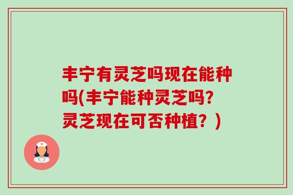 丰宁有灵芝吗现在能种吗(丰宁能种灵芝吗?灵芝现在可否种植?)-第1张图片-卓越灵芝孢子粉 丰宁有灵芝吗现在能种吗(丰宁能种灵芝吗?灵芝现在可否种植?)-第1张图片-卓越灵芝孢子粉