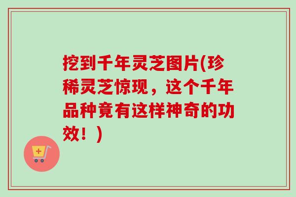 挖到千年灵芝图片(珍稀灵芝惊现,这个千年品种竟有这样神奇的功效!)-第1张图片-卓越灵芝孢子粉 挖到千年灵芝图片(珍稀灵芝惊现,这个千年品种竟有这样神奇的功效!)-第1张图片-卓越灵芝孢子粉
