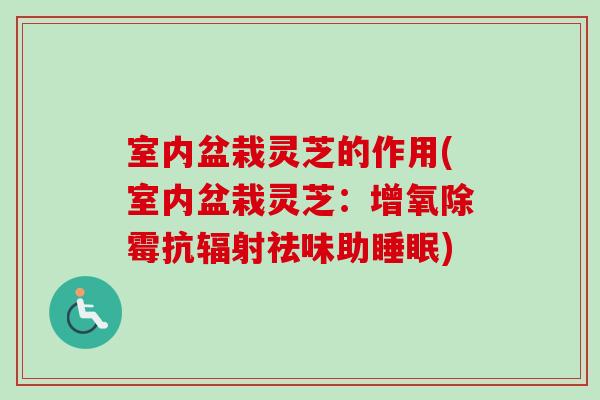室内盆栽灵芝的作用(室内盆栽灵芝:增氧除霉抗辐射祛味助睡眠)-第1张图片-卓越灵芝孢子粉 室内盆栽灵芝的作用(室内盆栽灵芝:增氧除霉抗辐射祛味助睡眠)-第1张图片-卓越灵芝孢子粉