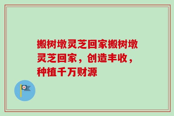 搬树墩灵芝回家搬树墩灵芝回家，创造丰收，种植千万财源-第1张图片-卓越灵芝孢子粉