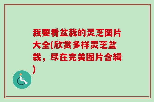 我要看盆栽的灵芝图片大全(欣赏多样灵芝盆栽,尽在完美图片合辑)-第1张图片-卓越灵芝孢子粉 我要看盆栽的灵芝图片大全(欣赏多样灵芝盆栽,尽在完美图片合辑)-第1张图片-卓越灵芝孢子粉