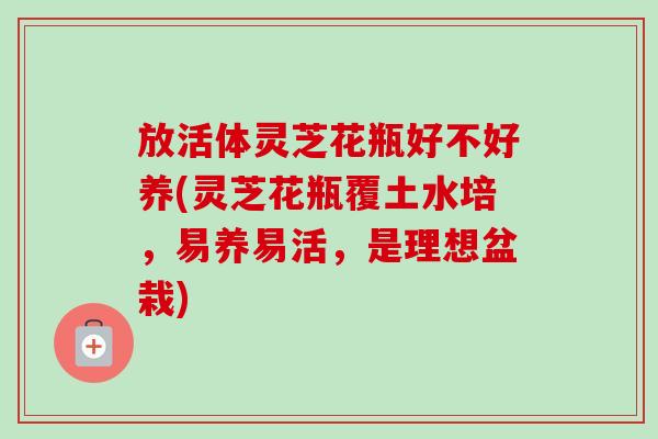 放活体灵芝花瓶好不好养(灵芝花瓶覆土水培,易养易活,是理想盆栽)-第1张图片-卓越灵芝孢子粉 放活体灵芝花瓶好不好养(灵芝花瓶覆土水培,易养易活,是理想盆栽)-第1张图片-卓越灵芝孢子粉