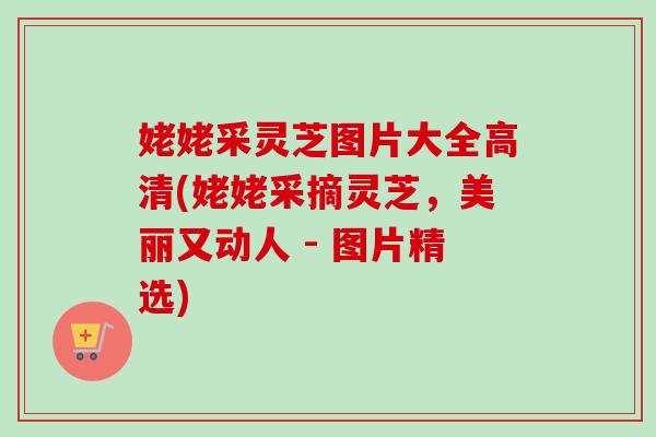姥姥采灵芝图片大全高清(姥姥采摘灵芝,美丽又动人 - 图片精选)-第1张图片-卓越灵芝孢子粉 姥姥采灵芝图片大全高清(姥姥采摘灵芝,美丽又动人 - 图片精选)-第1张图片-卓越灵芝孢子粉