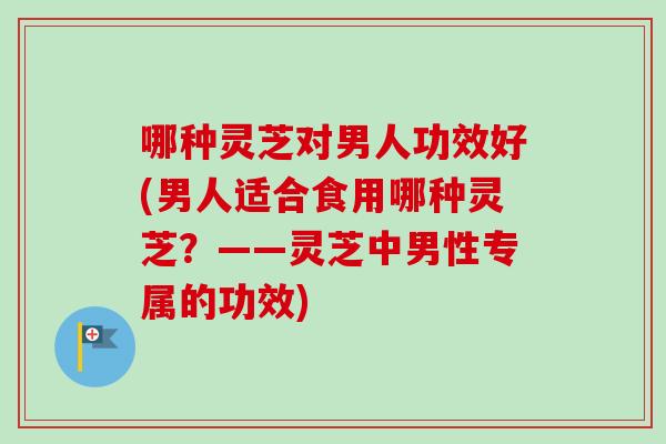 哪种灵芝对男人功效好(男人适合食用哪种灵芝?——灵芝中男性专属的功效)-第1张图片-卓越灵芝孢子粉 哪种灵芝对男人功效好(男人适合食用哪种灵芝?——灵芝中男性专属的功效)-第1张图片-卓越灵芝孢子粉