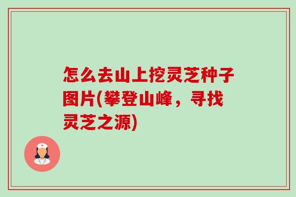 怎么去山上挖灵芝种子图片(攀登山峰,寻找灵芝之源)-第1张图片-卓越灵芝孢子粉 怎么去山上挖灵芝种子图片(攀登山峰,寻找灵芝之源)-第1张图片-卓越灵芝孢子粉