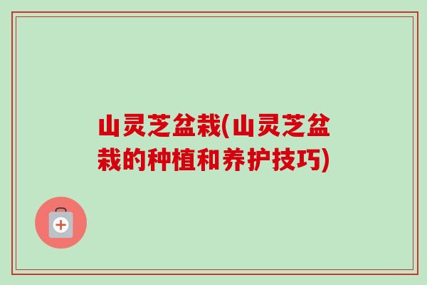 山灵芝盆栽(山灵芝盆栽的种植和养护技巧)-第1张图片-卓越灵芝孢子粉 山灵芝盆栽(山灵芝盆栽的种植和养护技巧)-第1张图片-卓越灵芝孢子粉