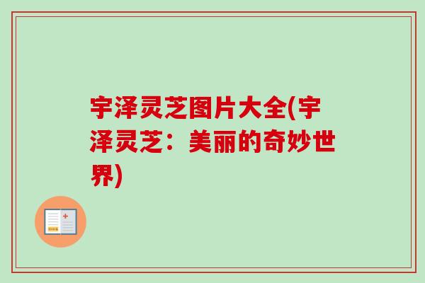 宇泽灵芝图片大全(宇泽灵芝:美丽的奇妙世界)-第1张图片-卓越灵芝孢子粉 宇泽灵芝图片大全(宇泽灵芝:美丽的奇妙世界)-第1张图片-卓越灵芝孢子粉