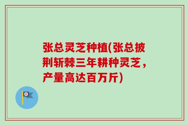 张总灵芝种植(张总披荆斩棘三年耕种灵芝，产量高达百万斤)-第1张图片-卓越灵芝孢子粉