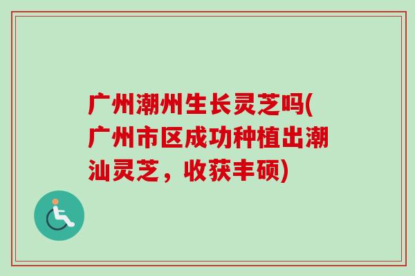 广州潮州生长灵芝吗(广州市区成功种植出潮汕灵芝，收获丰硕)-第1张图片-卓越灵芝孢子粉