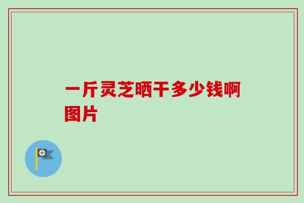 一斤灵芝晒干多少钱啊图片-第1张图片-卓越灵芝孢子粉 一斤灵芝晒干多少钱啊图片-第1张图片-卓越灵芝孢子粉