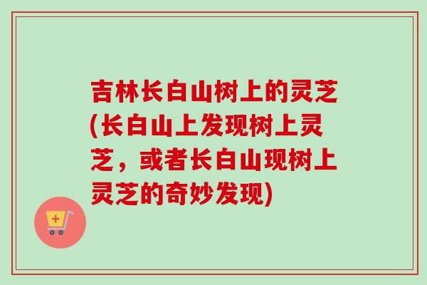 吉林长白山树上的灵芝(长白山上发现树上灵芝，或者长白山现树上灵芝的奇妙发现)-第1张图片-卓越灵芝孢子粉