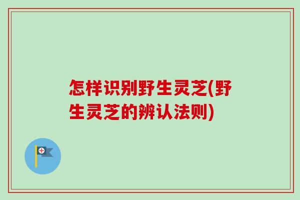怎样识别野生灵芝(野生灵芝的辨认法则)-第1张图片-卓越灵芝孢子粉
