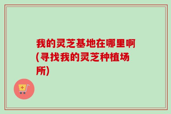 我的灵芝基地在哪里啊(寻找我的灵芝种植场所)-第1张图片-卓越灵芝孢子粉 我的灵芝基地在哪里啊(寻找我的灵芝种植场所)-第1张图片-卓越灵芝孢子粉