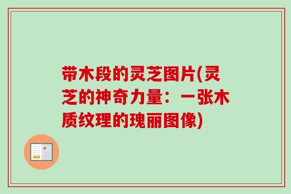 带木段的灵芝图片(灵芝的神奇力量:一张木质纹理的瑰丽图像)-第1张图片-卓越灵芝孢子粉 带木段的灵芝图片(灵芝的神奇力量:一张木质纹理的瑰丽图像)-第1张图片-卓越灵芝孢子粉