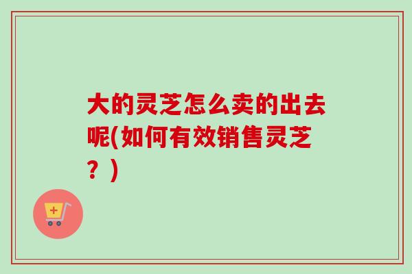 大的灵芝怎么卖的出去呢(如何有效销售灵芝?)-第1张图片-卓越灵芝孢子粉 大的灵芝怎么卖的出去呢(如何有效销售灵芝?)-第1张图片-卓越灵芝孢子粉