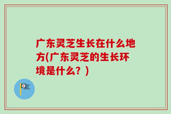 广东灵芝生长在什么地方(广东灵芝的生长环境是什么?)-第1张图片-卓越灵芝孢子粉 广东灵芝生长在什么地方(广东灵芝的生长环境是什么?)-第1张图片-卓越灵芝孢子粉