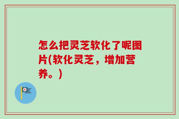 怎么把灵芝软化了呢图片(软化灵芝，增加营养。)-第1张图片-卓越灵芝孢子粉