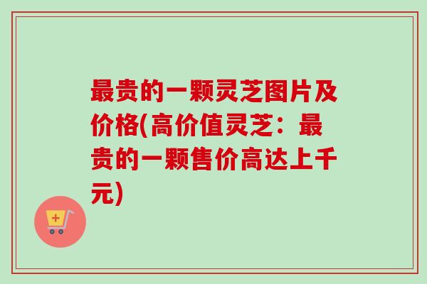 最贵的一颗灵芝图片及价格(高价值灵芝：最贵的一颗售价高达上千元)-第1张图片-卓越灵芝孢子粉