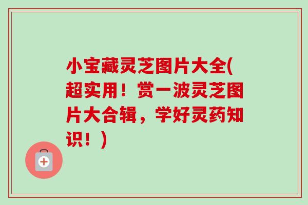 小宝藏灵芝图片大全(超实用!赏一波灵芝图片大合辑,学好灵药知识!)-第1张图片-卓越灵芝孢子粉 小宝藏灵芝图片大全(超实用!赏一波灵芝图片大合辑,学好灵药知识!)-第1张图片-卓越灵芝孢子粉