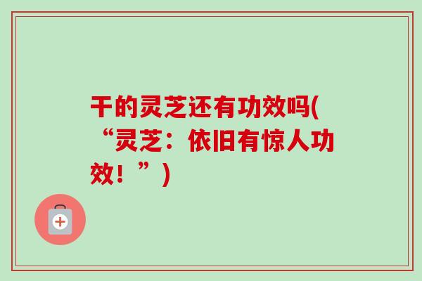 干的灵芝还有功效吗(“灵芝:依旧有惊人功效!”)-第1张图片-卓越灵芝孢子粉 干的灵芝还有功效吗(“灵芝:依旧有惊人功效!”)-第1张图片-卓越灵芝孢子粉