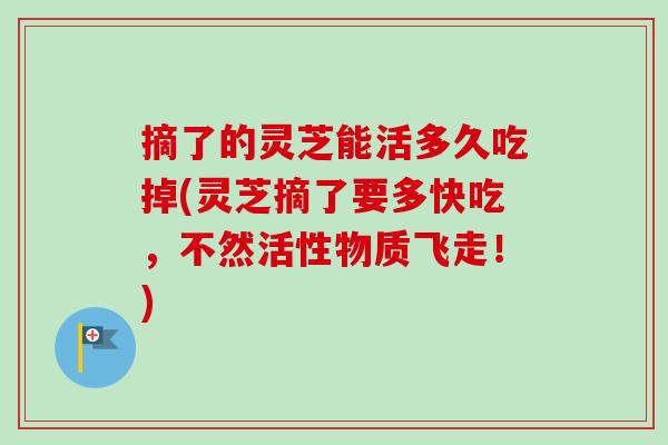 摘了的灵芝能活多久吃掉(灵芝摘了要多快吃,不然活性物质飞走!)-第1张图片-卓越灵芝孢子粉 摘了的灵芝能活多久吃掉(灵芝摘了要多快吃,不然活性物质飞走!)-第1张图片-卓越灵芝孢子粉