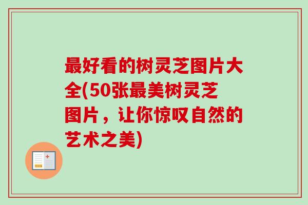 最好看的树灵芝图片大全(50张最美树灵芝图片，让你惊叹自然的艺术之美)-第1张图片-卓越灵芝孢子粉