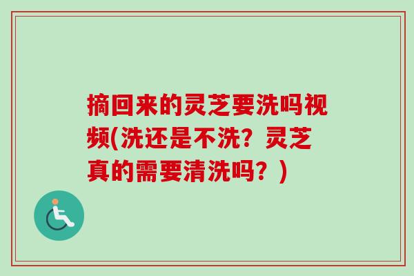 摘回来的灵芝要洗吗视频(洗还是不洗?灵芝真的需要清洗吗?)-第1张图片-卓越灵芝孢子粉 摘回来的灵芝要洗吗视频(洗还是不洗?灵芝真的需要清洗吗?)-第1张图片-卓越灵芝孢子粉