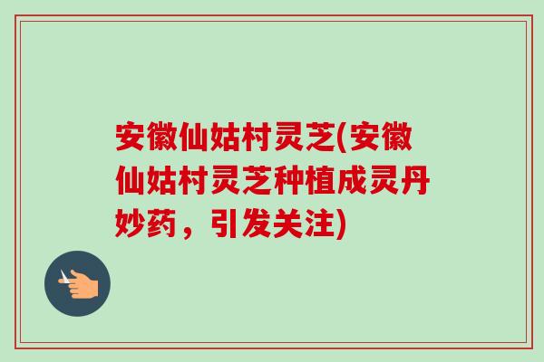 安徽仙姑村灵芝(安徽仙姑村灵芝种植成灵丹妙药,引发关注)-第1张图片-卓越灵芝孢子粉 安徽仙姑村灵芝(安徽仙姑村灵芝种植成灵丹妙药,引发关注)-第1张图片-卓越灵芝孢子粉