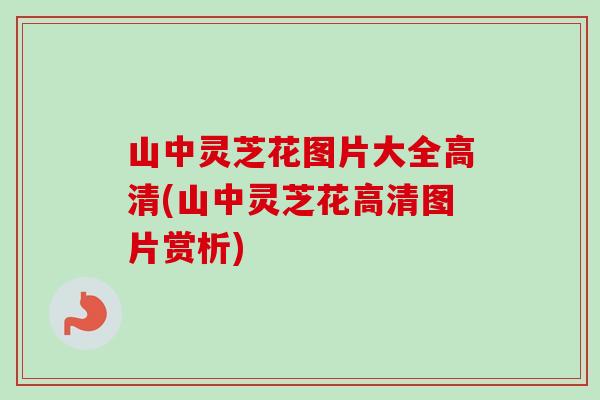 山中灵芝花图片大全高清(山中灵芝花高清图片赏析)-第1张图片-卓越灵芝孢子粉 山中灵芝花图片大全高清(山中灵芝花高清图片赏析)-第1张图片-卓越灵芝孢子粉