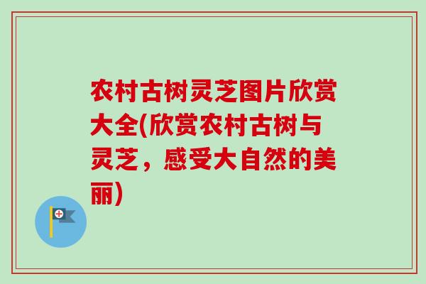 农村古树灵芝图片欣赏大全(欣赏农村古树与灵芝,感受大自然的美丽)-第1张图片-卓越灵芝孢子粉 农村古树灵芝图片欣赏大全(欣赏农村古树与灵芝,感受大自然的美丽)-第1张图片-卓越灵芝孢子粉