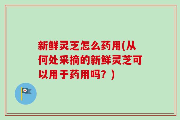 新鲜灵芝怎么药用(从何处采摘的新鲜灵芝可以用于药用吗?)-第1张图片-卓越灵芝孢子粉 新鲜灵芝怎么药用(从何处采摘的新鲜灵芝可以用于药用吗?)-第1张图片-卓越灵芝孢子粉