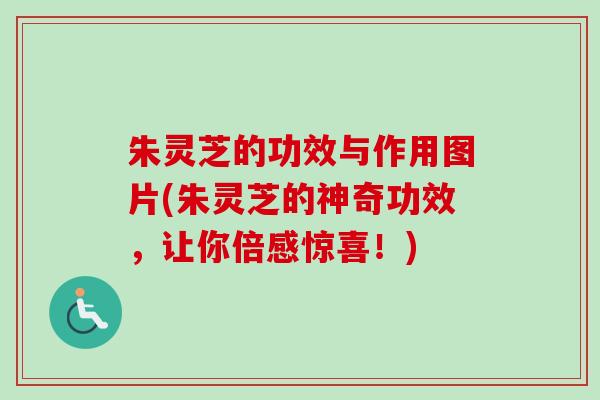 朱灵芝的功效与作用图片(朱灵芝的神奇功效，让你倍感惊喜！)-第1张图片-卓越灵芝孢子粉