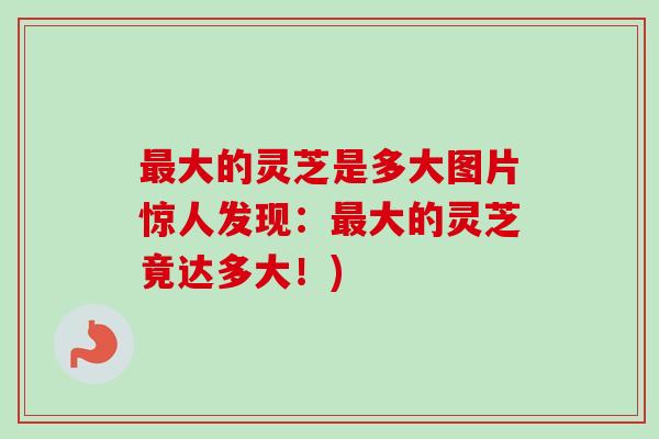 最大的灵芝是多大图片惊人发现:最大的灵芝竟达多大!)-第1张图片-卓越灵芝孢子粉 最大的灵芝是多大图片惊人发现:最大的灵芝竟达多大!)-第1张图片-卓越灵芝孢子粉