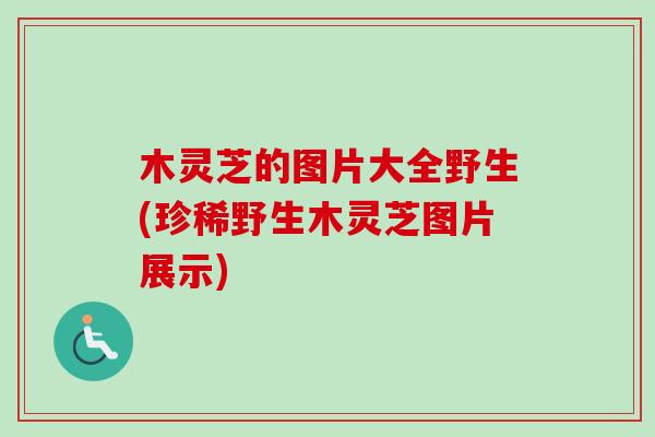 木灵芝的图片大全野生(珍稀野生木灵芝图片展示)-第1张图片-卓越灵芝孢子粉 木灵芝的图片大全野生(珍稀野生木灵芝图片展示)-第1张图片-卓越灵芝孢子粉