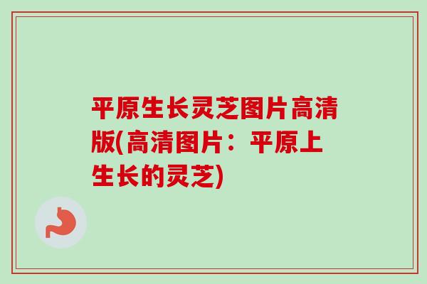 平原生长灵芝图片高清版(高清图片:平原上生长的灵芝)-第1张图片-卓越灵芝孢子粉 平原生长灵芝图片高清版(高清图片:平原上生长的灵芝)-第1张图片-卓越灵芝孢子粉