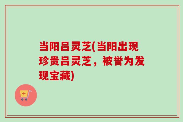 当阳吕灵芝(当阳出现珍贵吕灵芝,被誉为发现宝藏)-第1张图片-卓越灵芝孢子粉 当阳吕灵芝(当阳出现珍贵吕灵芝,被誉为发现宝藏)-第1张图片-卓越灵芝孢子粉