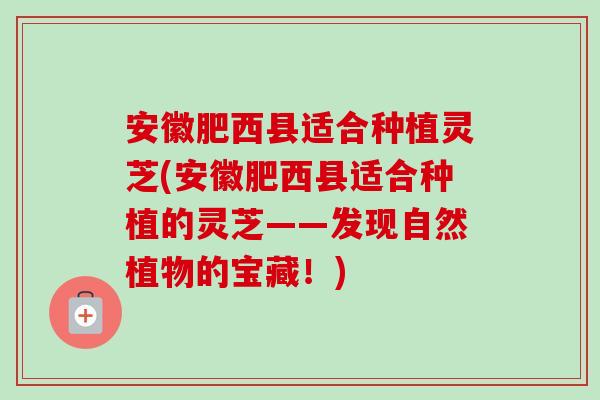 安徽肥西县适合种植灵芝(安徽肥西县适合种植的灵芝——发现自然植物的宝藏!)-第1张图片-卓越灵芝孢子粉 安徽肥西县适合种植灵芝(安徽肥西县适合种植的灵芝——发现自然植物的宝藏!)-第1张图片-卓越灵芝孢子粉