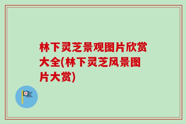 林下灵芝景观图片欣赏大全(林下灵芝风景图片大赏)-第1张图片-卓越灵芝孢子粉