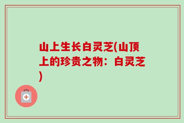 山上生长白灵芝(山顶上的珍贵之物:白灵芝)-第1张图片-卓越灵芝孢子粉 山上生长白灵芝(山顶上的珍贵之物:白灵芝)-第1张图片-卓越灵芝孢子粉