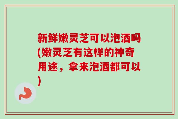 新鲜嫩灵芝可以泡酒吗(嫩灵芝有这样的神奇用途,拿来泡酒都可以)-第1张图片-卓越灵芝孢子粉 新鲜嫩灵芝可以泡酒吗(嫩灵芝有这样的神奇用途,拿来泡酒都可以)-第1张图片-卓越灵芝孢子粉