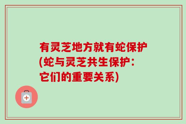 有灵芝地方就有蛇保护(蛇与灵芝共生保护:它们的重要关系)-第1张图片-卓越灵芝孢子粉 有灵芝地方就有蛇保护(蛇与灵芝共生保护:它们的重要关系)-第1张图片-卓越灵芝孢子粉