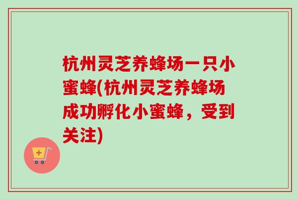 杭州灵芝养蜂场一只小蜜蜂(杭州灵芝养蜂场成功孵化小蜜蜂，受到关注)-第1张图片-卓越灵芝孢子粉