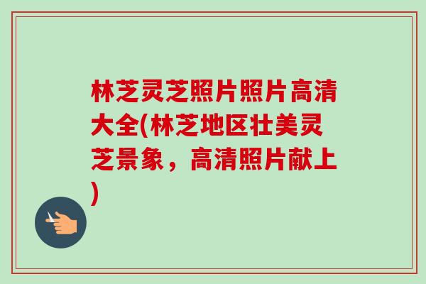林芝灵芝照片照片高清大全(林芝地区壮美灵芝景象，高清照片献上)-第1张图片-卓越灵芝孢子粉