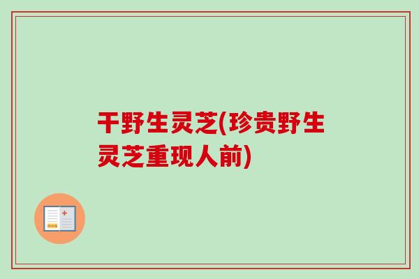 干野生灵芝(珍贵野生灵芝重现人前)-第1张图片-卓越灵芝孢子粉 干野生灵芝(珍贵野生灵芝重现人前)-第1张图片-卓越灵芝孢子粉