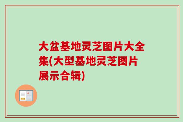 大盆基地灵芝图片大全集(大型基地灵芝图片展示合辑)-第1张图片-卓越灵芝孢子粉 大盆基地灵芝图片大全集(大型基地灵芝图片展示合辑)-第1张图片-卓越灵芝孢子粉