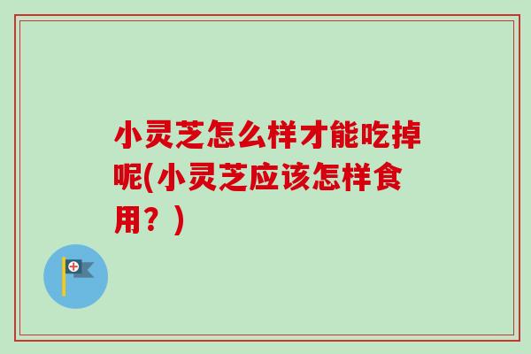 小灵芝怎么样才能吃掉呢(小灵芝应该怎样食用?)-第1张图片-卓越灵芝孢子粉 小灵芝怎么样才能吃掉呢(小灵芝应该怎样食用?)-第1张图片-卓越灵芝孢子粉