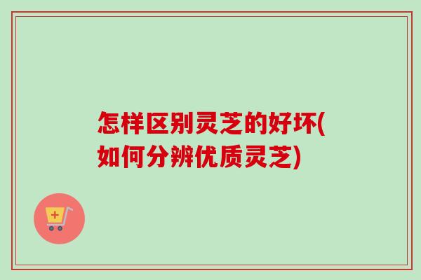 怎样区别灵芝的好坏(如何分辨优质灵芝)-第1张图片-卓越灵芝孢子粉 怎样区别灵芝的好坏(如何分辨优质灵芝)-第1张图片-卓越灵芝孢子粉
