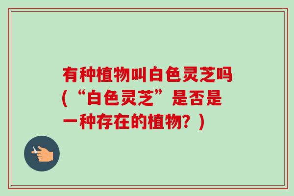 有种植物叫白色灵芝吗(“白色灵芝”是否是一种存在的植物?)-第1张图片-卓越灵芝孢子粉 有种植物叫白色灵芝吗(“白色灵芝”是否是一种存在的植物?)-第1张图片-卓越灵芝孢子粉