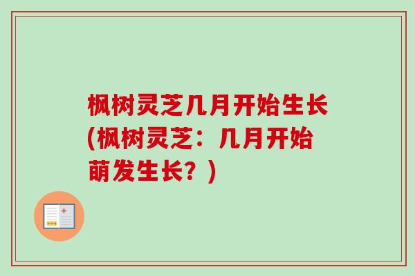 枫树灵芝几月开始生长(枫树灵芝:几月开始萌发生长?)-第1张图片-卓越灵芝孢子粉 枫树灵芝几月开始生长(枫树灵芝:几月开始萌发生长?)-第1张图片-卓越灵芝孢子粉
