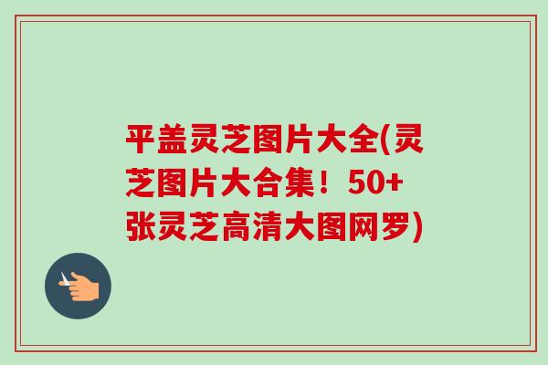 平盖灵芝图片大全(灵芝图片大合集!50+张灵芝高清大图网罗)-第1张图片-卓越灵芝孢子粉 平盖灵芝图片大全(灵芝图片大合集!50+张灵芝高清大图网罗)-第1张图片-卓越灵芝孢子粉